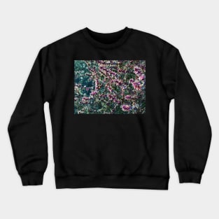 Thorny Crewneck Sweatshirt